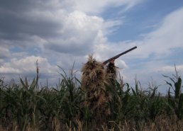 Маскировочная одежда для охоты в интернет-магазине в Омске, купить маскировочную сеть с доставкой картинка 46