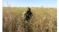 Маскировочный халат Taganrog Кикимора – купить по цене 3550 руб. в интернет-магазине в городе Омск картинка 13