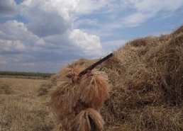 Маскировочная одежда для охоты в интернет-магазине в Омске, купить маскировочную сеть с доставкой картинка 28